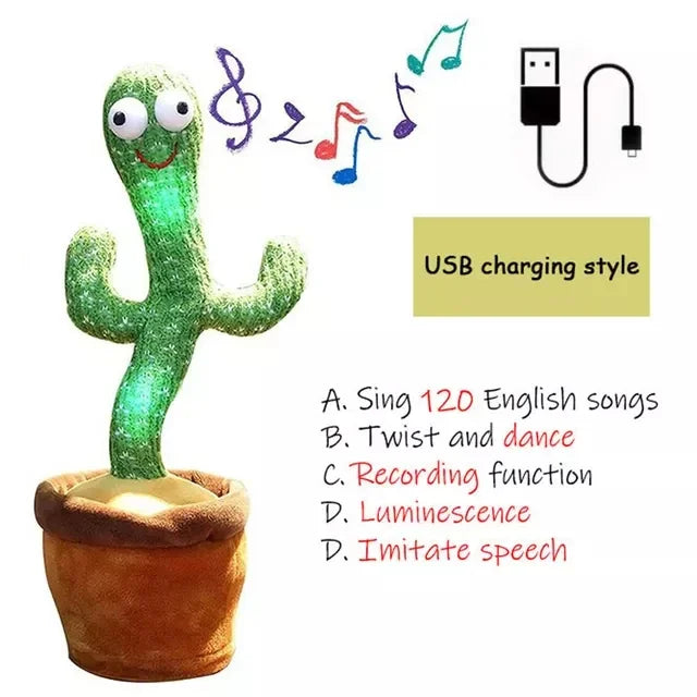 Dancer Cactus